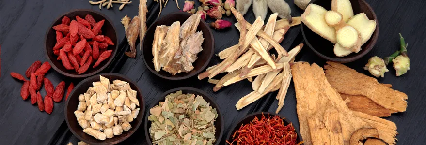 Seznamte se se základními pojmy čínské medicíny