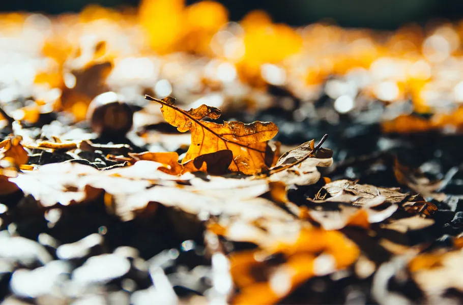 Podzim, energie kovu