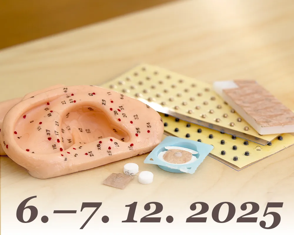 Aurikuloterapie 1: úvod do ušní akupunktury (6.–7. 12. 2025)