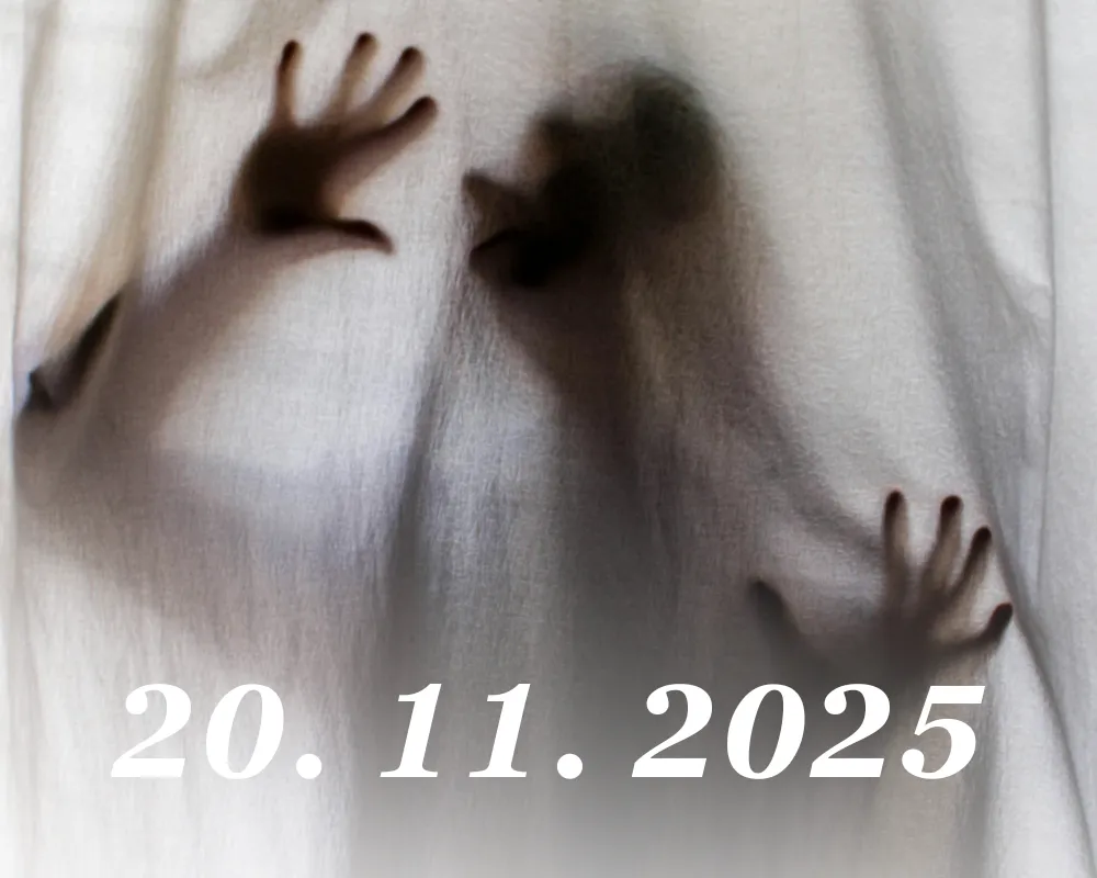 Démoni 2: body démonů v akupunkturní praxi (20. 11. 2025)