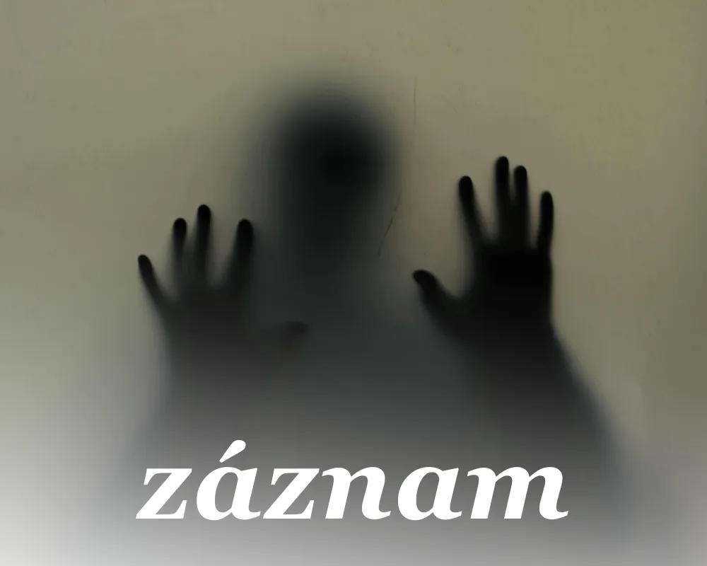 Démoni 1: jak se chránit před škodlivými energiemi díky TČM (Záznam)