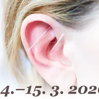 Aurikuloterapie 1: úvod do ušní akupunktury (14.–15. 3. 2026)