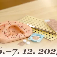 Aurikuloterapie 1: úvod do ušní akupunktury (6.–7. 12. 2025)