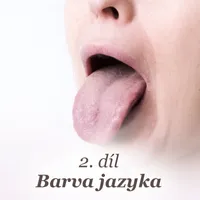 Diagnostika jazyka 2. díl – barva