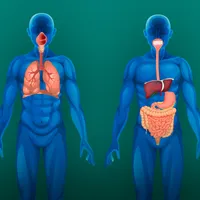 Minimum západní medicíny 2/4: Vnitřní orgány, procesy v těle (20.–22. 2. 2026)