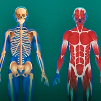Minimum západní medicíny 1/4: Anatomie pohybové soustavy. První pomoc (3.–5. 1. 2026)
