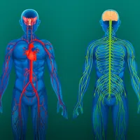 Minimum západní medicíny 3/4: O nemocech: Signály, příznaky, příčiny, metody léčby (17.–19. 4. 2026)
