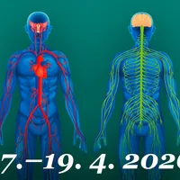 Minimum západní medicíny 3/4: O nemocech: Signály, příznaky, příčiny, metody léčby (17.–19. 4. 2026)