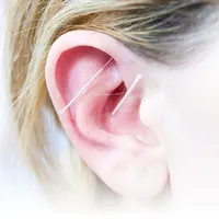 Aurikuloterapie 1: úvod do ušní akupunktury (6.–7. 12. 2025)