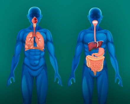 Minimum západní medicíny 2/4: Vnitřní orgány, procesy v těle. ZÁZNAM