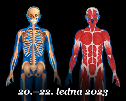 Minimum západní medicíny 1/4 - Anatomie a fyziologie pohybové soustavy - Vyhlásíme znovu příští rok, začněte jinými dostupnými semináři