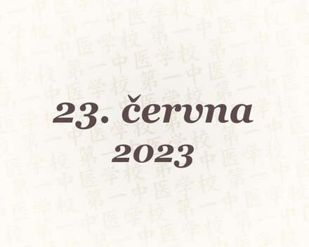 Tuina - ročníkové zkoušky – 23. 6. 2023