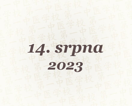Tuina - ročníkové zkoušky – 14. 8. 2023