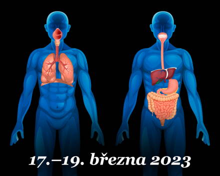 Minimum západní medicíny 2/4 - Anatomie a fyziologie vnitřních orgánů - Vyhlásíme znovu příští rok, začněte jinými dostupnými semináři