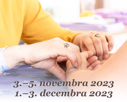 Pulsová diagnostika – systém Shen–Hammer