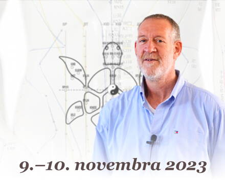 Tuvia Scott: Břišní akupunktura – 9.–10. 11. 2023