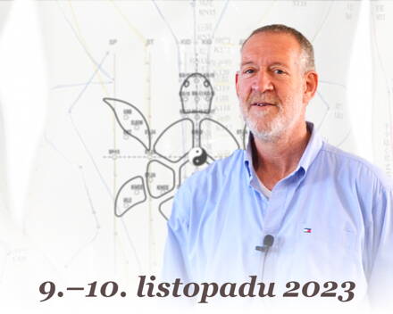 Tuvia Scott: Břišní akupunktura (9.–10. 11. 2023)