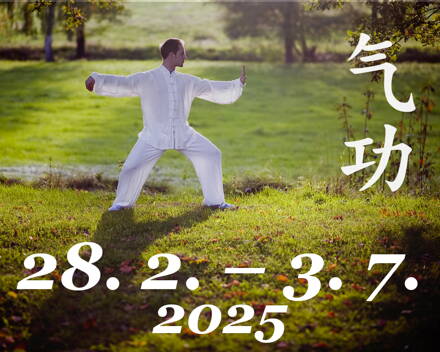 Qigong: cvičení pro odolnost, uvolnění a soustředění. 4měsíční online kurz