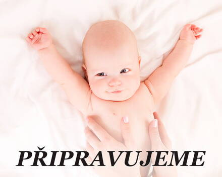 Ledviny a močový měchýř – Péče o děti v TČM, terapie základních obtíží a prevence 4
