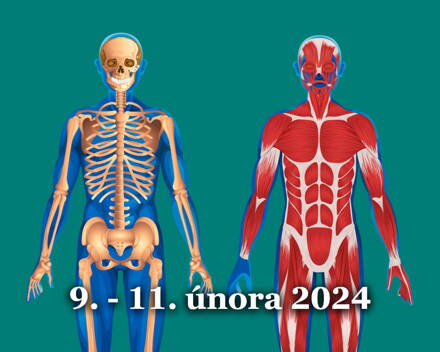 Minimum západní medicíny 1/4 - Anatomie a fyziologie pohybové soustavy, 9.–11. 2. 2024
